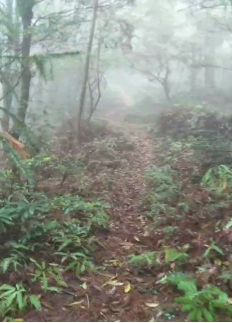 【0325】你守護(hù)深山水電站，蘇寧物流守護(hù)你的心愿必達(dá)1150.png