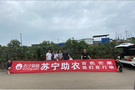 【0708】原產(chǎn)地直采！天天快遞助力百色芒果飛入萬(wàn)家果籃615.png